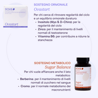 Balance Bundle