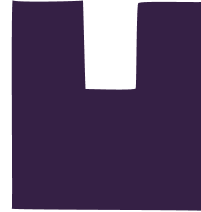 logo salva