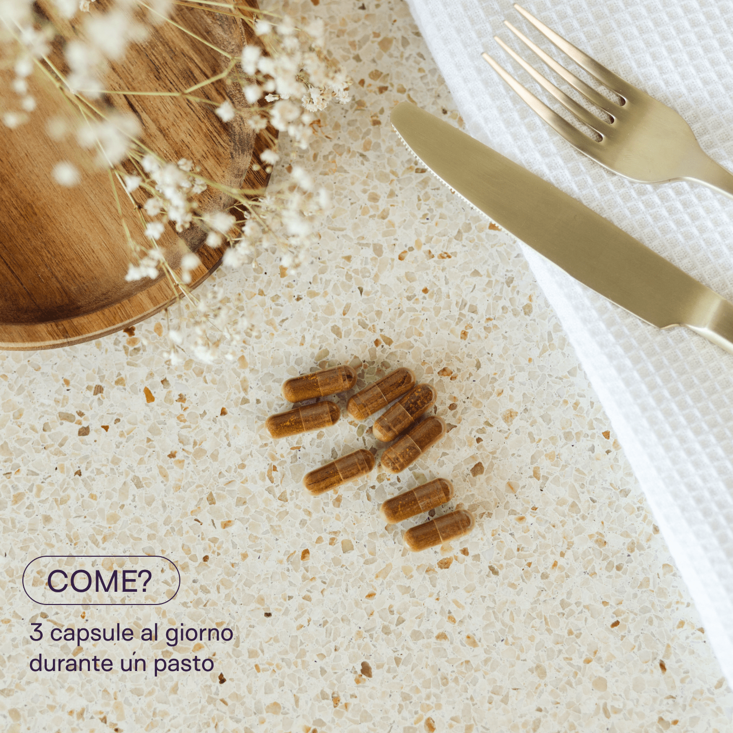 Sugar Balance - SOVA